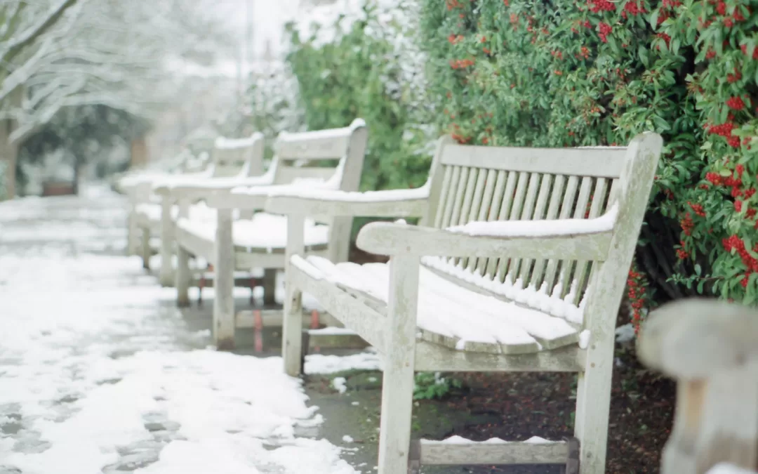 Winter Home Care: How Live-in Care Ensures Well-being